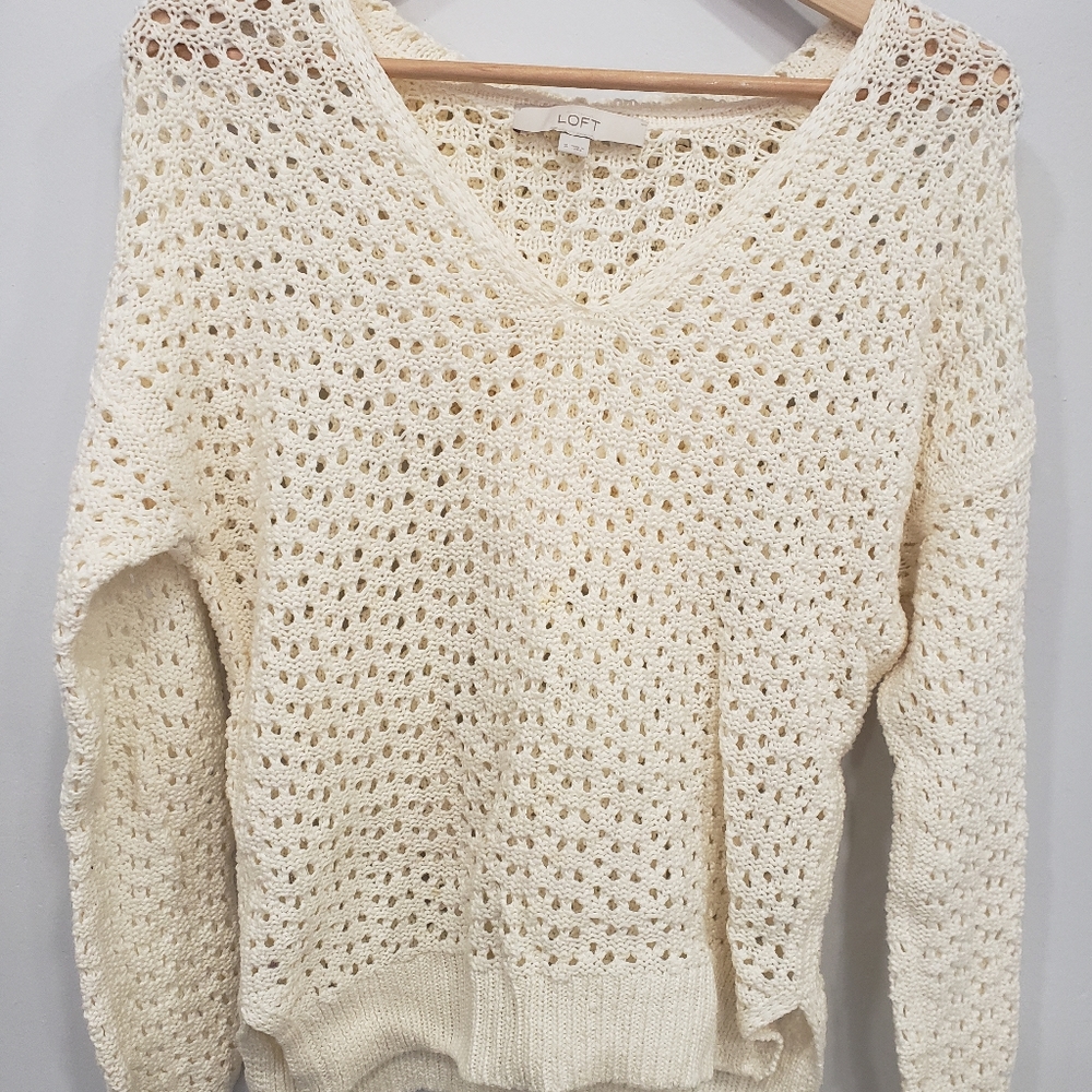 Ann Taylor Loft hoodie sweater